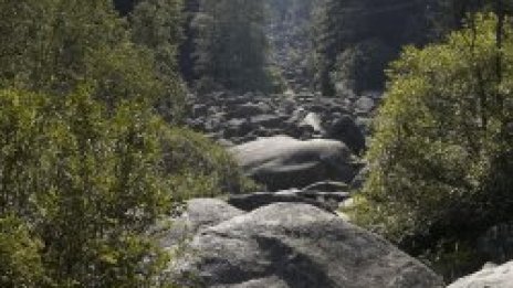 Оправят алеи на Витоша