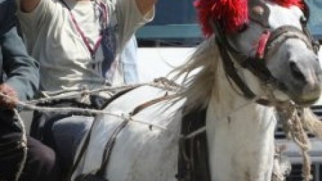 Г-да роми, извинете!