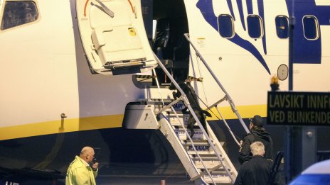 Съдът на ЕС реши: Загубено куче от авиокомпания е като загубен багаж