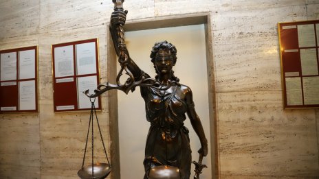 Британка роди след секс с близнаци, съдът не може да реши кой е бащата