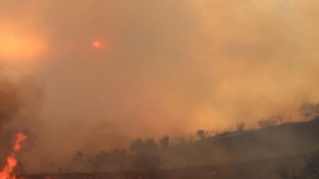 Шварценегер обявява извънредно положение в Ел Ей заради пожарите