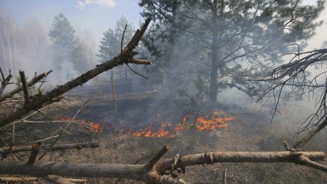 В радиоактивната зона на Чернобил избухна голям горски пожар