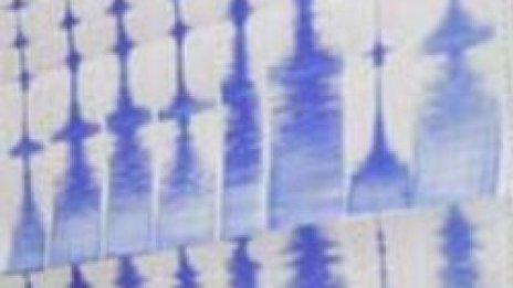 23 вторични труса втресоха София