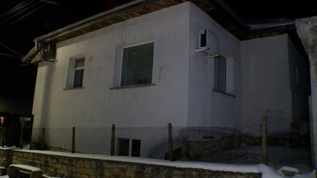 Прокуратурата: Затвор и глоба грози насилниците на животни от Свищов