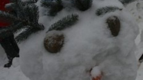 Студ във Видин - минус 14&deg;