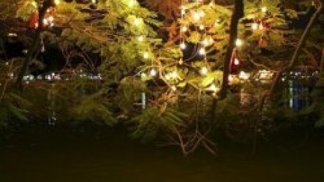 Нова година - история на празника