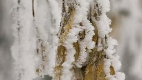 Уха! Минус 21,6&deg; в Кнежа