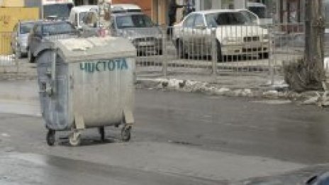 Вълка си обира контейнерите