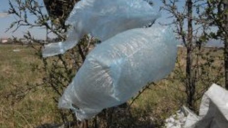 Кофите преляха, улиците зарити с боклуци в София