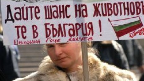 50 млекари скандират пред земеделското министерство