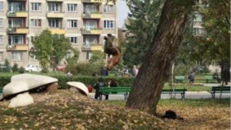 Снимай с Dnes.bg и София филм фест