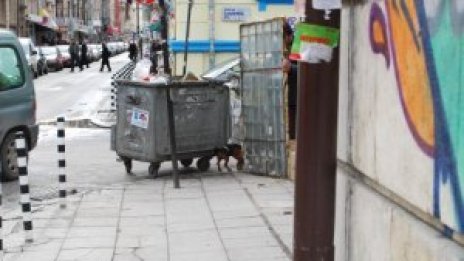 Снимай с Dnes.bg и София филм фест
