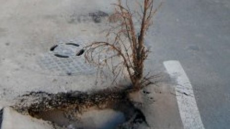 Вместо да оправят дупките, ще ни предупреждават с табели