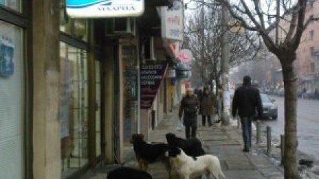 Снимай с Dnes.bg и София филм фест