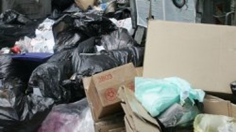 Роми от &quot;Новера&quot; протестират в София, Бойко ги пъди