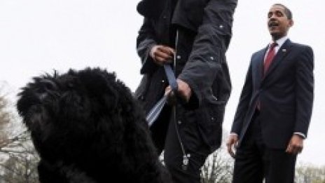 Обамови гордо показаха Бо на цяла Америка