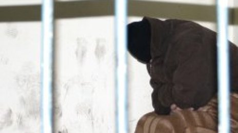 Съдят мъж, насилил тъща си в Добрич