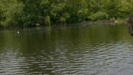 Километър риболовни мрежи иззети край "Огоста"