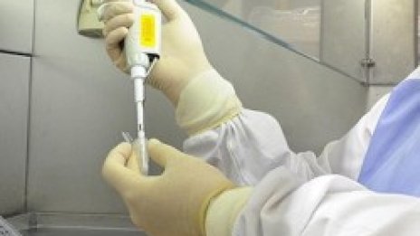 СЗО оставя пета степен на заплаха от свинския грип