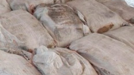 10 тона хашиш заловени в Белгия