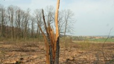 Българската въртележка със заменките