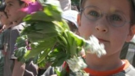 2500 деца вън от детските градини при последното класиране