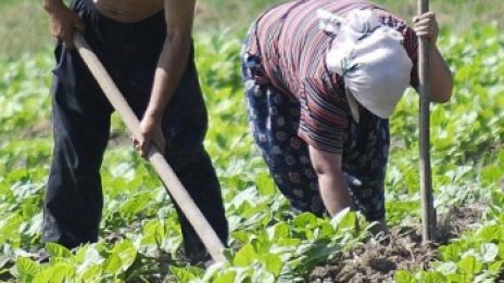 Активността на вота гони 20%. София отново с най-ниската