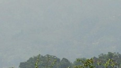 US изтребител се разби при тренировъчен полет