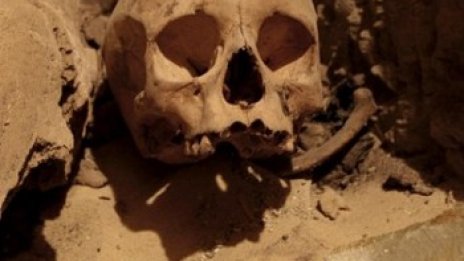 Откриха масов гроб в Беларус