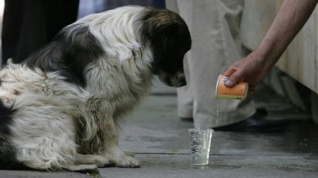 Пръскат с вода улици в София