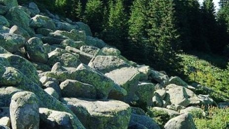 3000 души ще катерят Черни връх