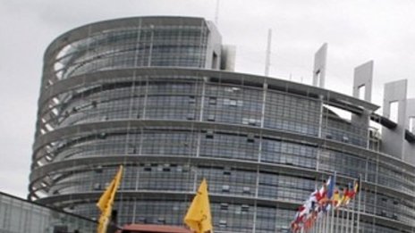 ОМО "Илинден" - Пирин протестира в Страсбург