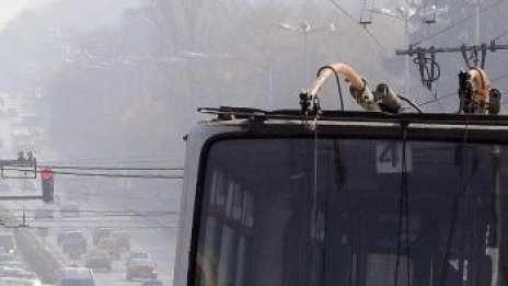 Осем автобуса си сменят маршрута