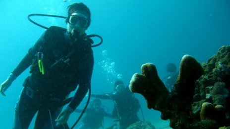 Акула, министър, акула, министър