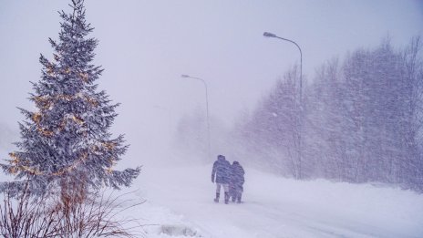 Зимна буря в Швеция остави десетки хиляди домакинства без ток