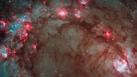 Хабъл разгледа млади звезди в съседна галактика