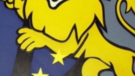 Петима искат СДС-то