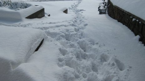Сняг за Коледа и топло на Нова година
