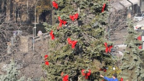 Кметицата пали светлините на коледния бор в София