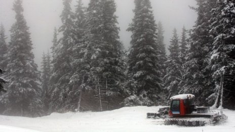 Снегът дойде