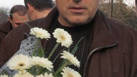 Мога ли да забраня герберите по цветарниците!?