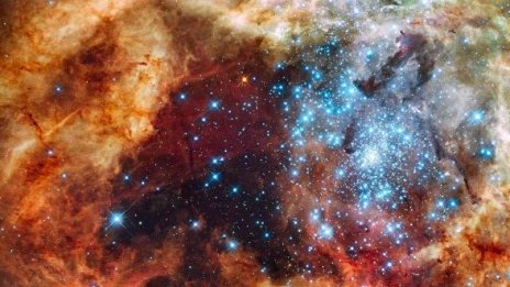 Телескопът Хабъл фотографира звездна тарантула