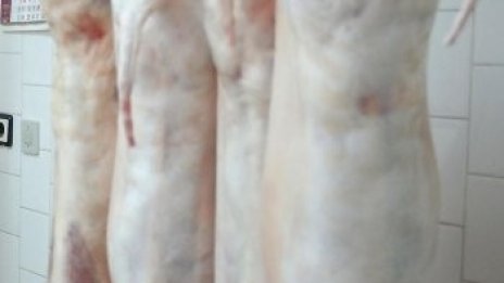 Затвориха нелегален цех за месо в София