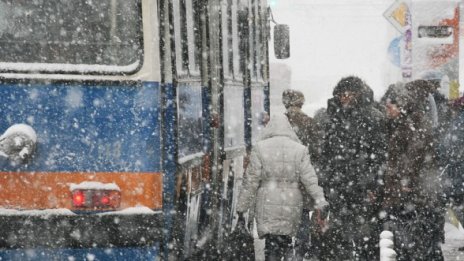 Към момента градският транспорт в столицата се движи по график