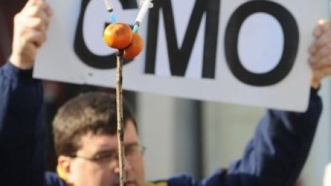 И НДСВ против ГМО