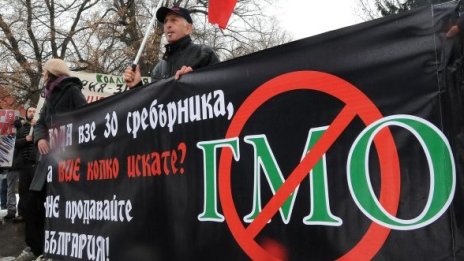 Екокомисията прие мораториума за ГМО