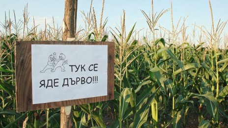 Караджова била готова с лаборатория за ГМО
