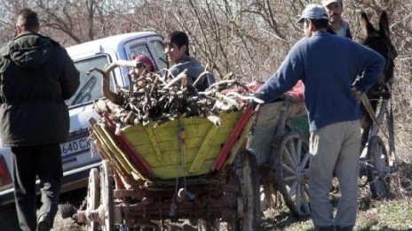 Милиони роми живеят в пълна мизерия в ЕС