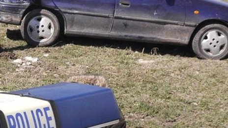 Шофьор с 2,78 промила се обърна на прав участък