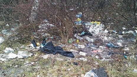 На 1 столичанин - 27 кв. м. зелени площи